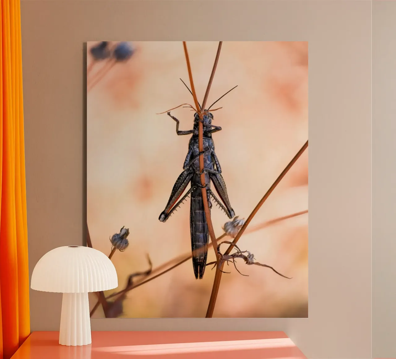 Grasshopper forex plate by Tom's Wildlife