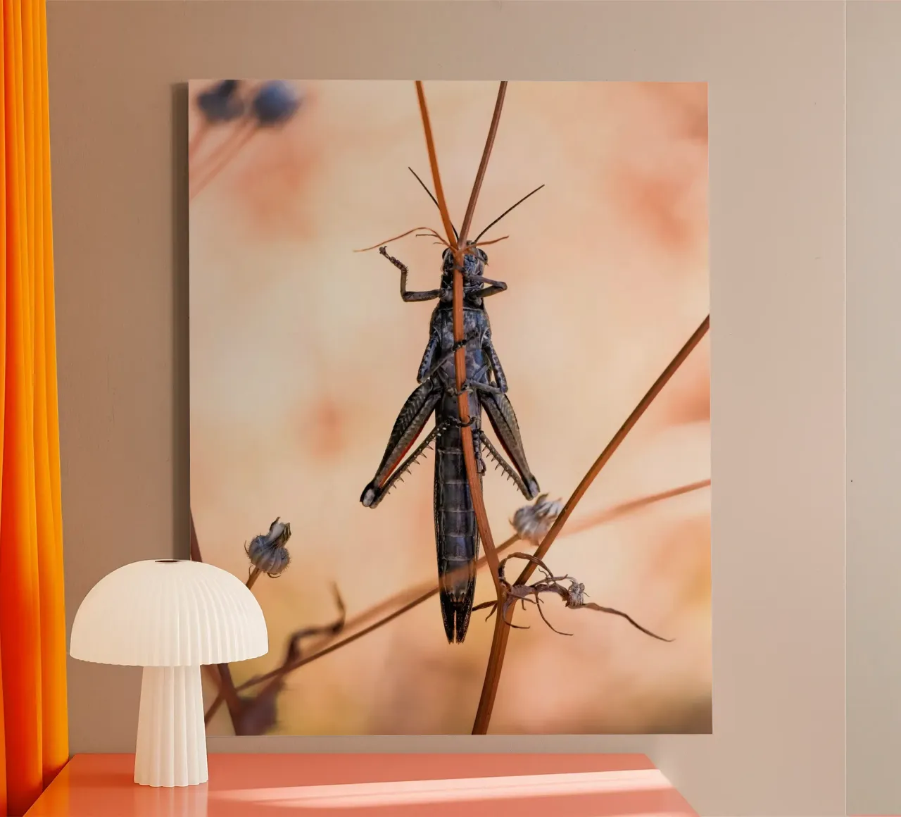 Grasshopper canvas by Tom's Wildlife