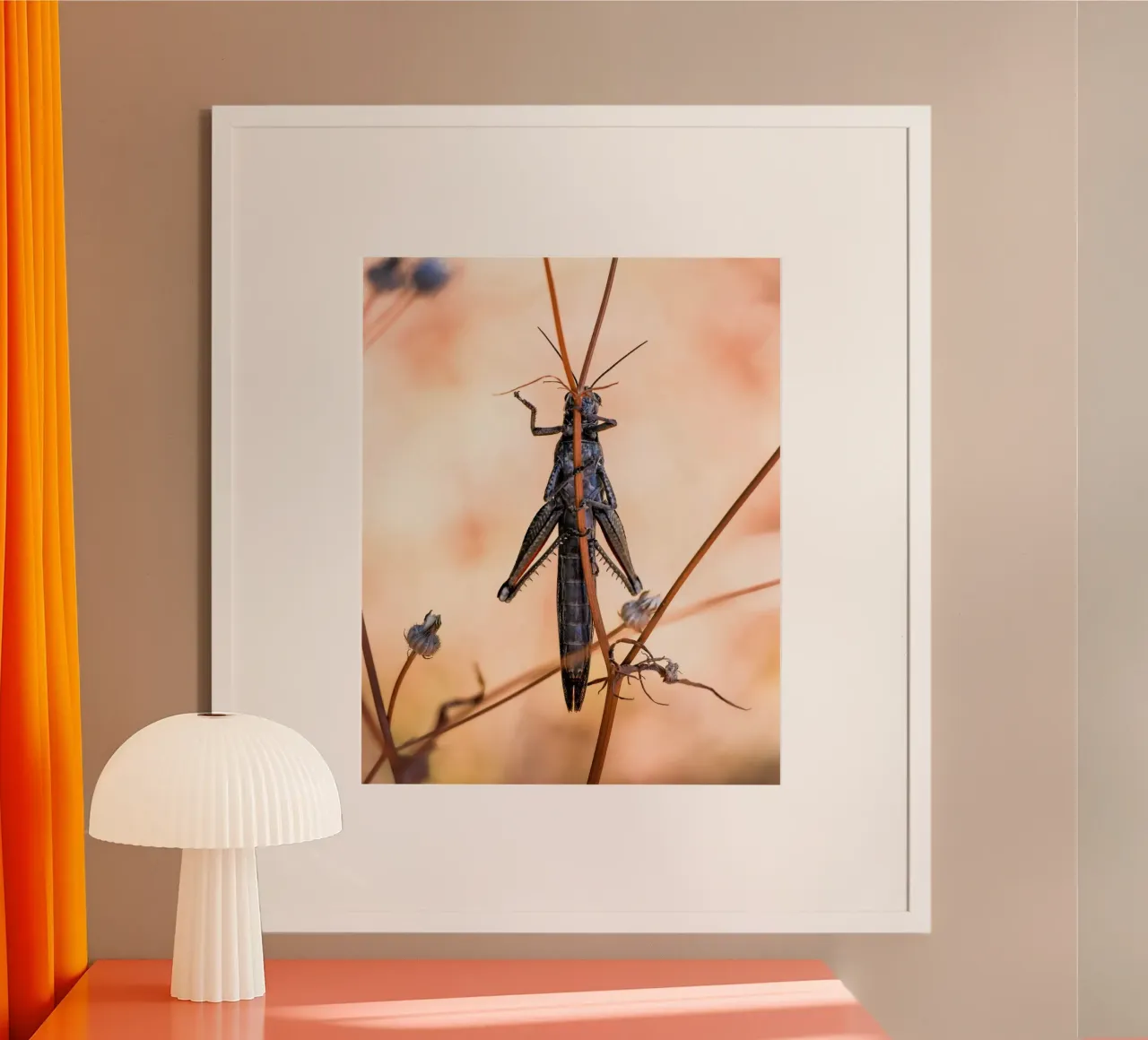 Grasshopper poster by Tom's Wildlife