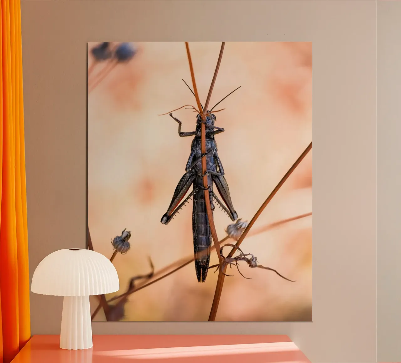 Grasshopper poster by Tom's Wildlife