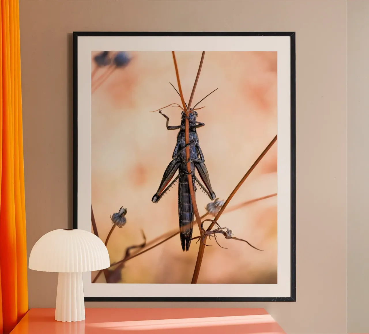 Grasshopper poster by Tom's Wildlife