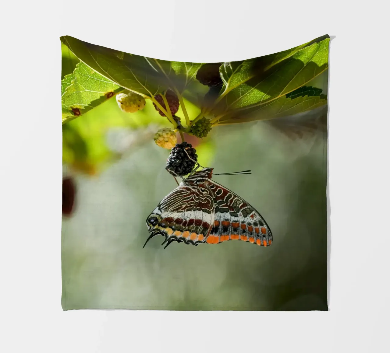 Farfalla coperta in pile da Tom's Wildlife