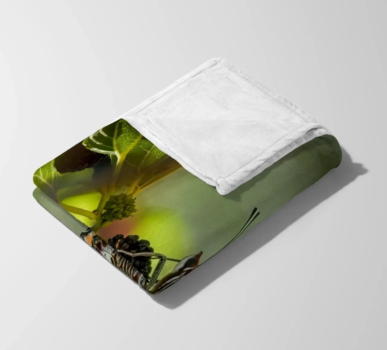 Farfalla coperta in pile da Tom's Wildlife
