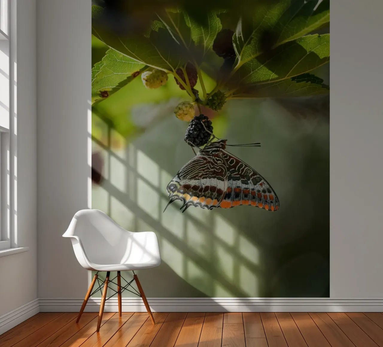 Papillon papier peint photo de Tom's Wildlife