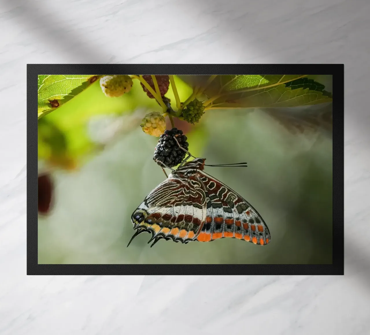 Butterfly doormat by Tom's Wildlife