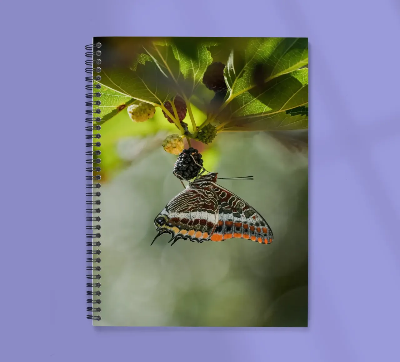 Butterfly spiral notebook by Tom's Wildlife