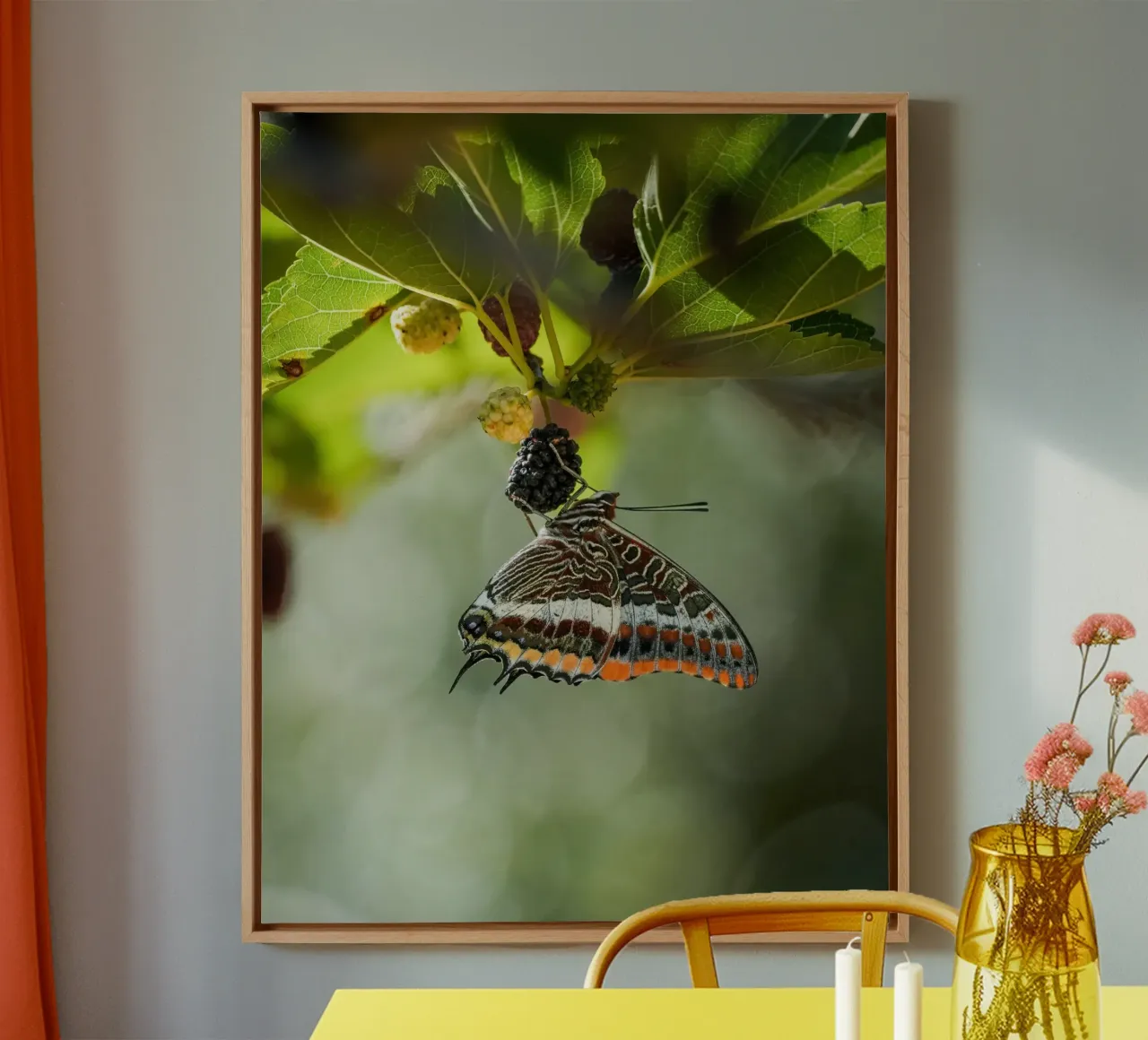 Butterfly canvas by Tom's Wildlife