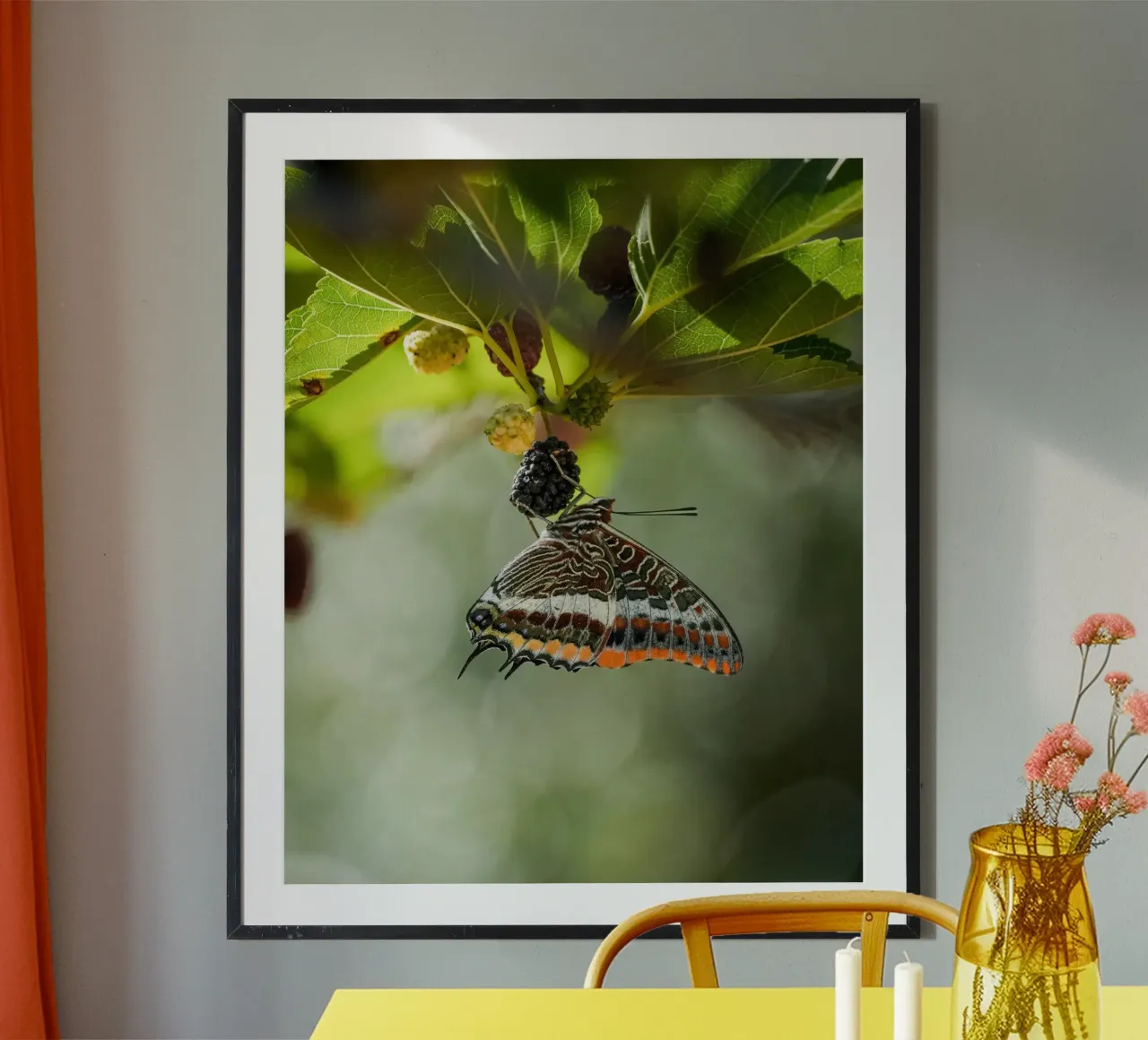 Farfalla poster da Tom's Wildlife