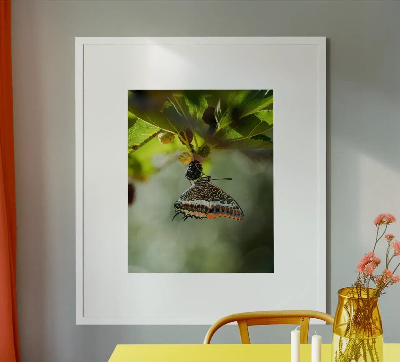 Farfalla poster da Tom's Wildlife