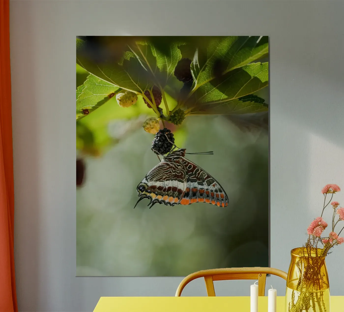 Farfalla poster da Tom's Wildlife