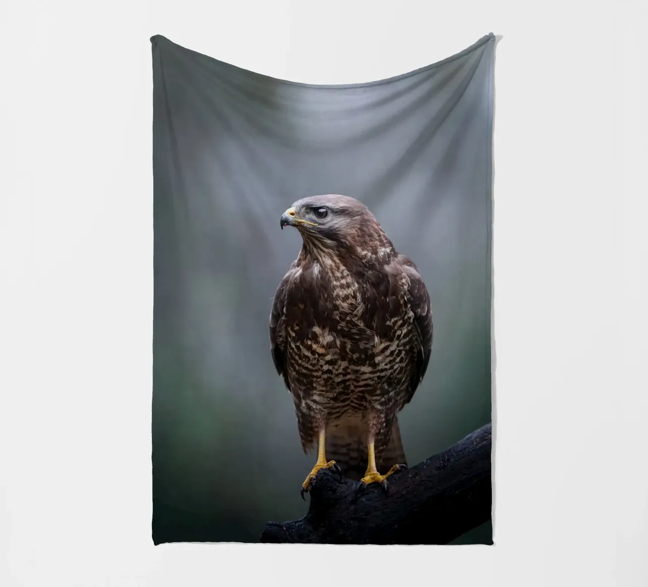 Buzzard fleece blanket by Tom's Wildlife