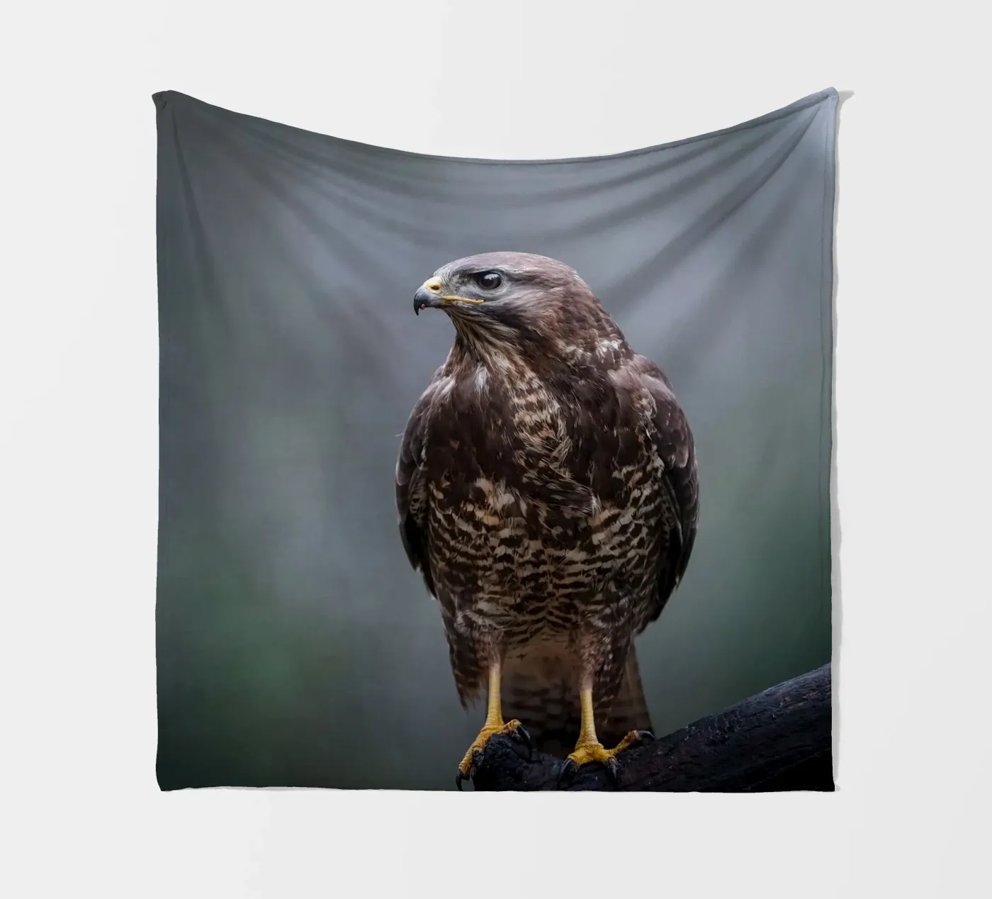 Bussard Fleecedecke von Tom's Wildlife