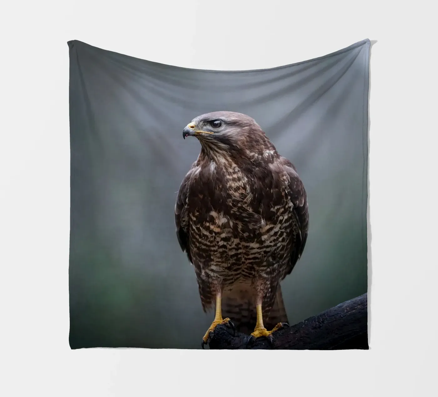 Buizerd fleecedeken van Tom's Wildlife