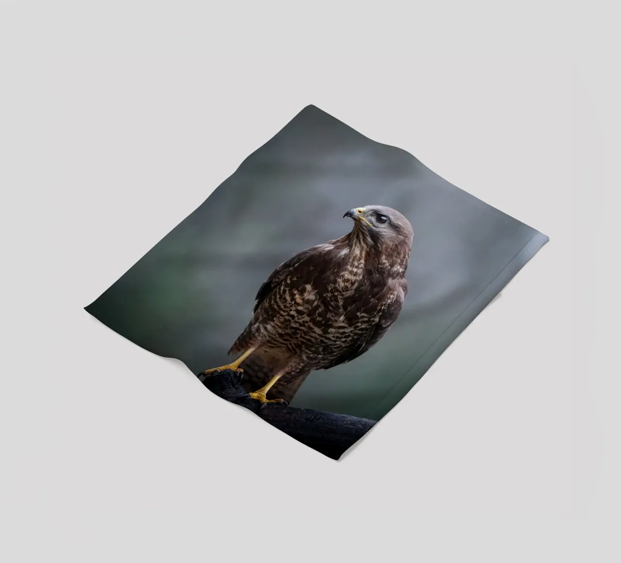 Buzzard fleece blanket by Tom's Wildlife