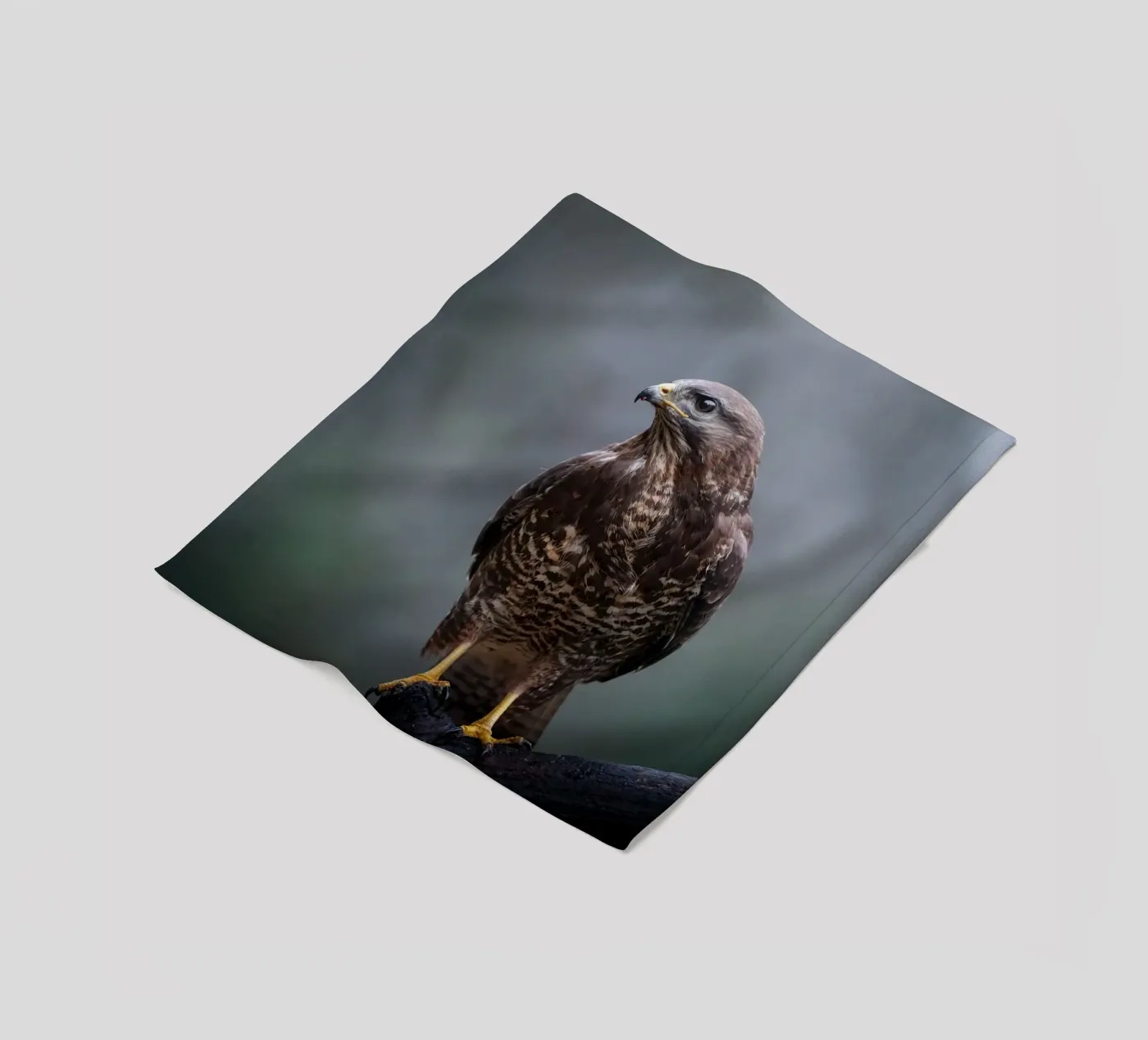 Buizerd fleecedeken van Tom's Wildlife