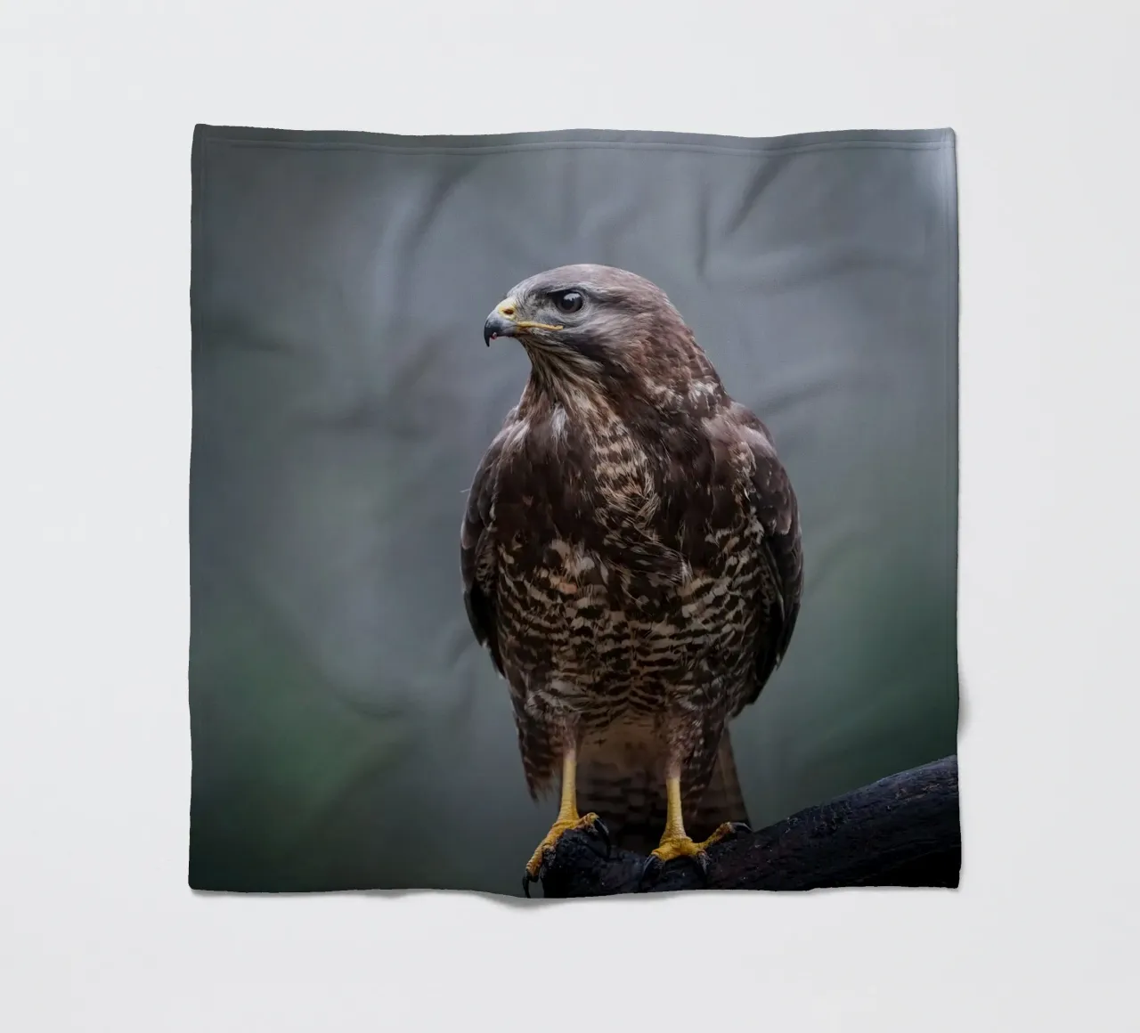 Buzzard fleece blanket by Tom's Wildlife