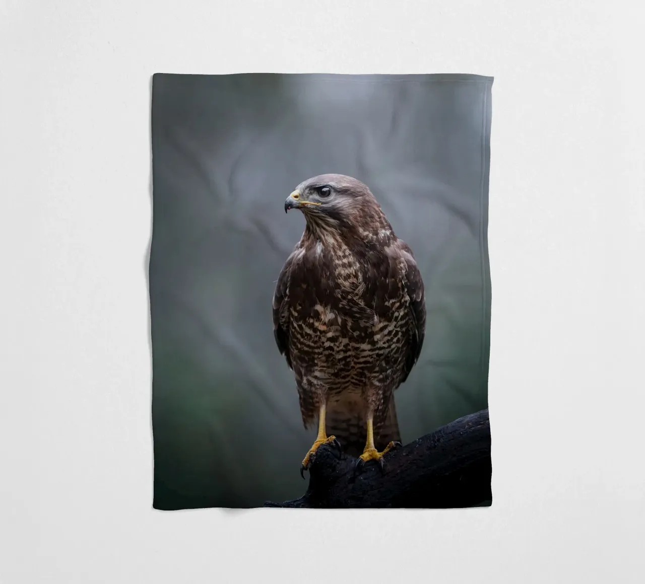 Buzzard fleece blanket by Tom's Wildlife