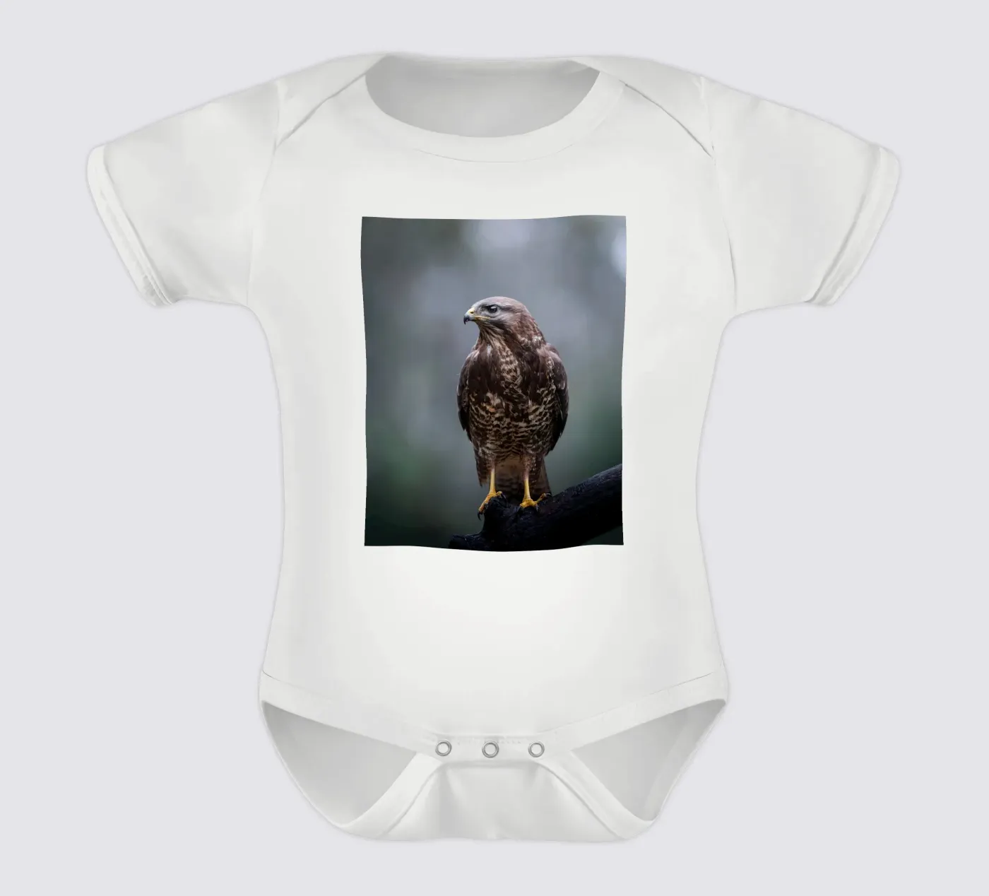 Buzzard body bébé de Tom's Wildlife