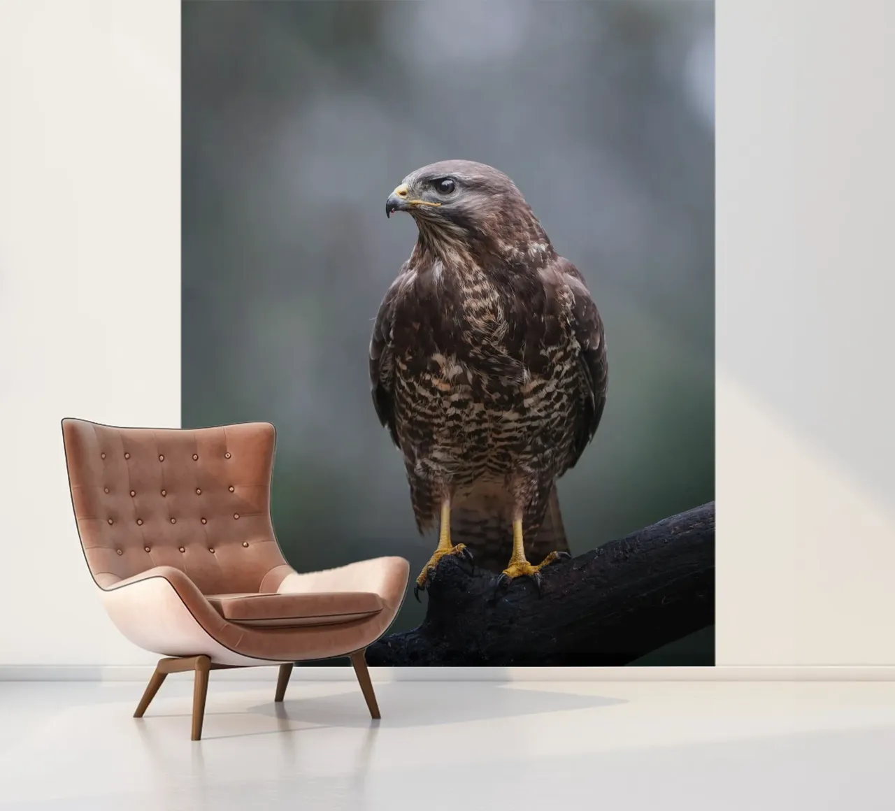Buizerd fotobehang van Tom's Wildlife