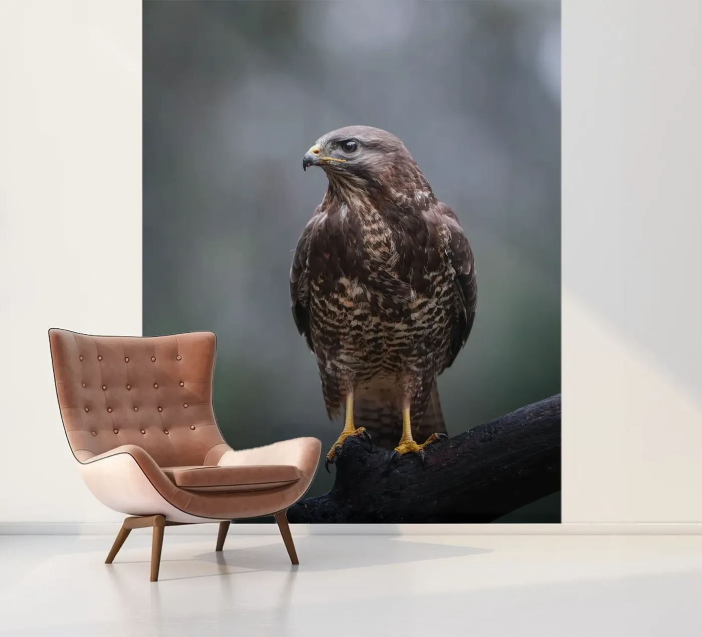 Buizerd fotobehang van Tom's Wildlife