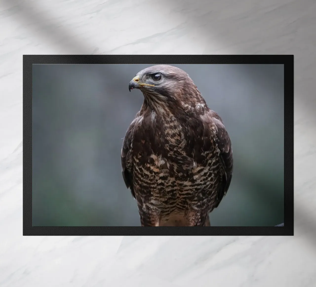 Buzzard doormat by Tom's Wildlife