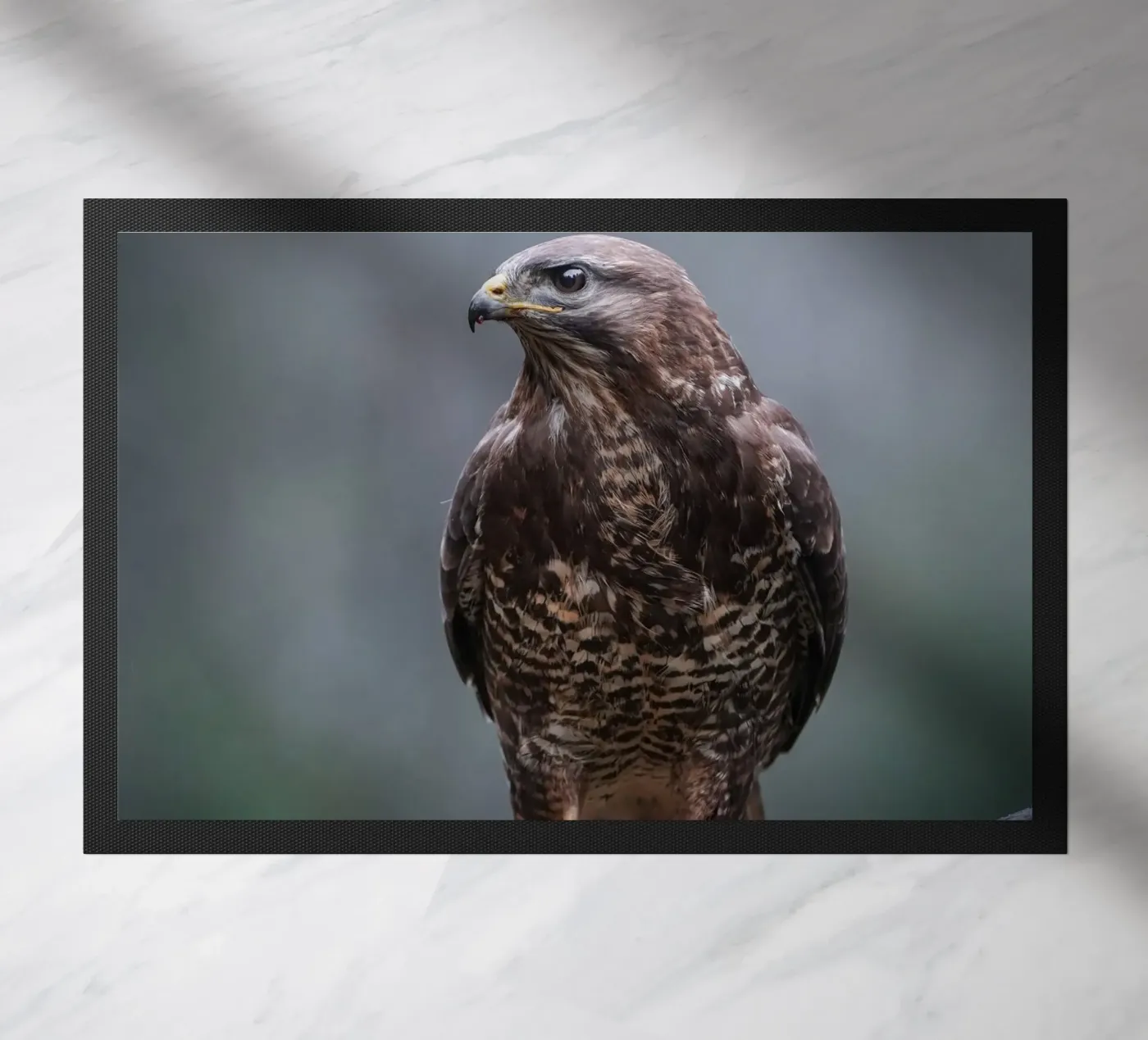 Buzzard Fußmatte von Tom's Wildlife