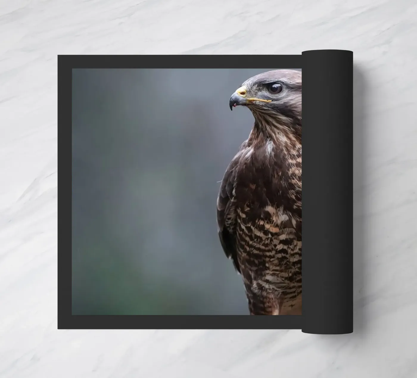 Buzzard Fußmatte von Tom's Wildlife