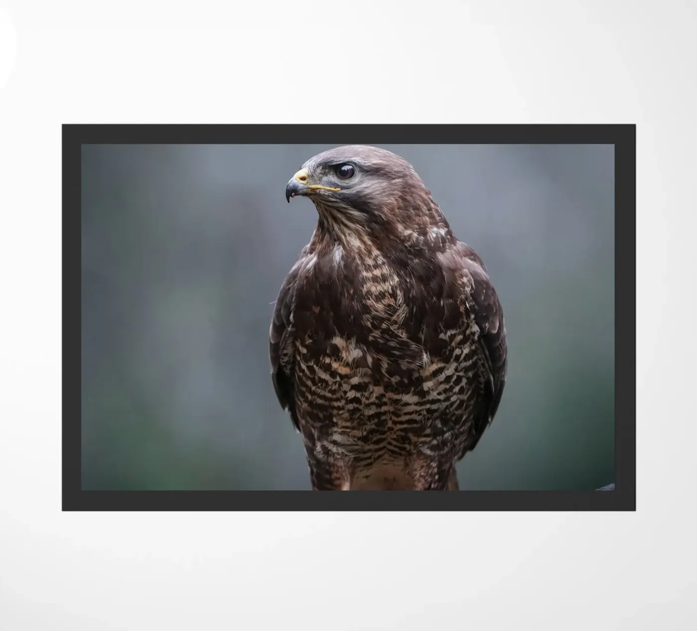 Buzzard Fußmatte von Tom's Wildlife
