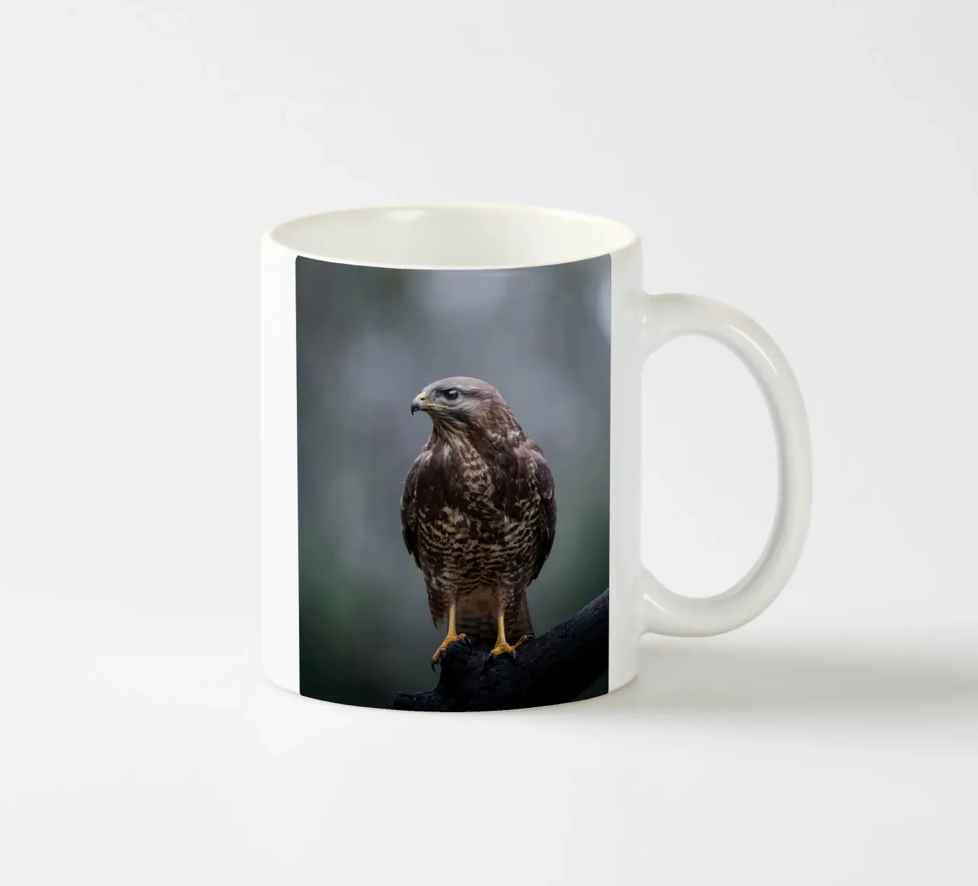 Buzzard ceramic mug by Tom's Wildlife