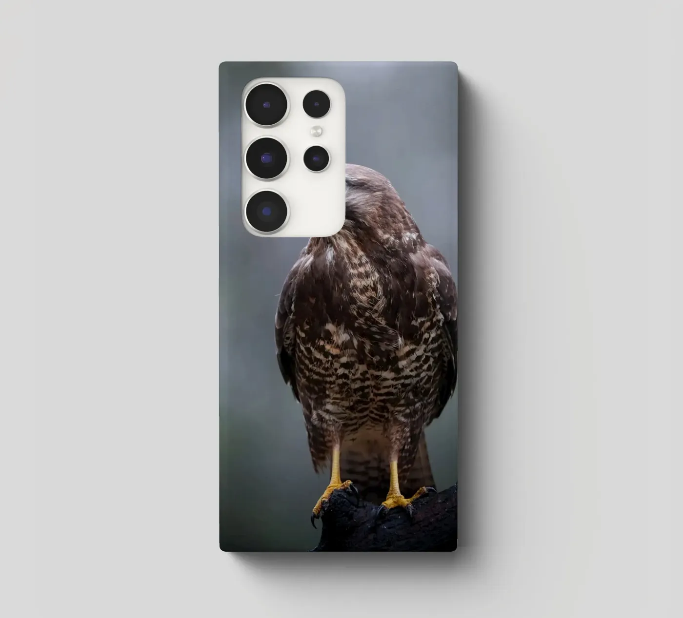 Poiana cover samsung da Tom's Wildlife