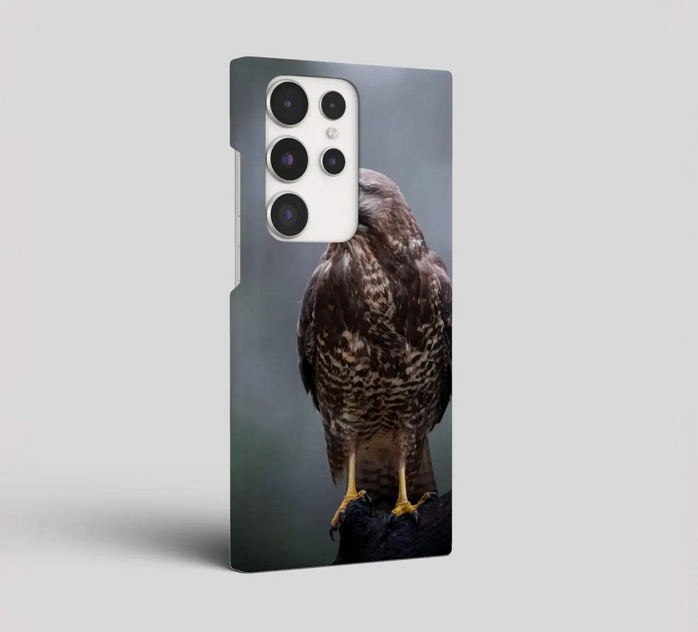 Poiana cover samsung da Tom's Wildlife