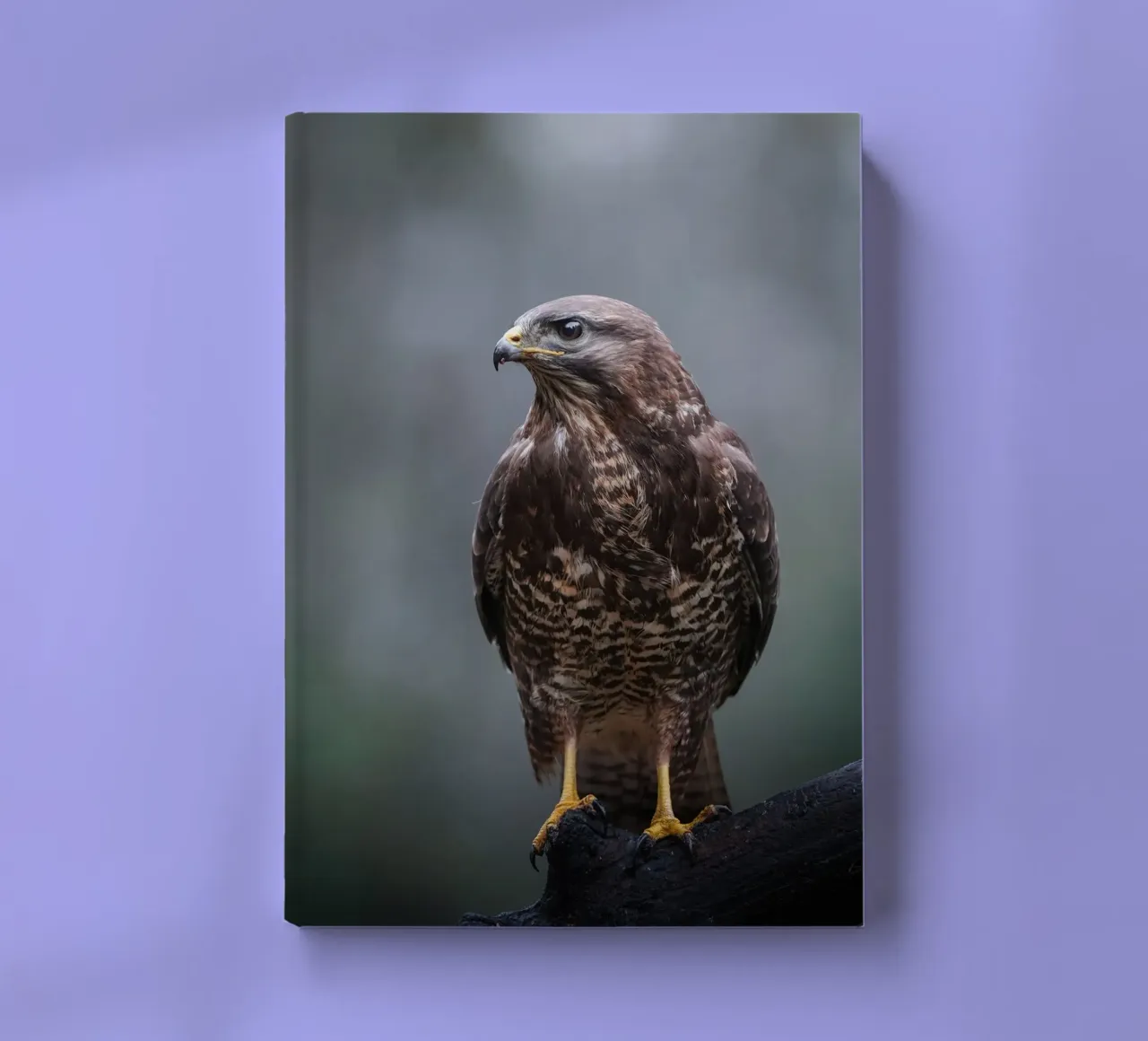 Buzzard notebook by Tom's Wildlife