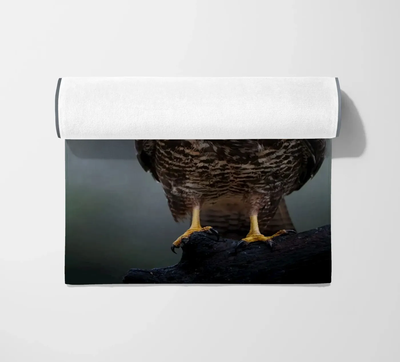Buizerd strandhanddoek van Tom's Wildlife
