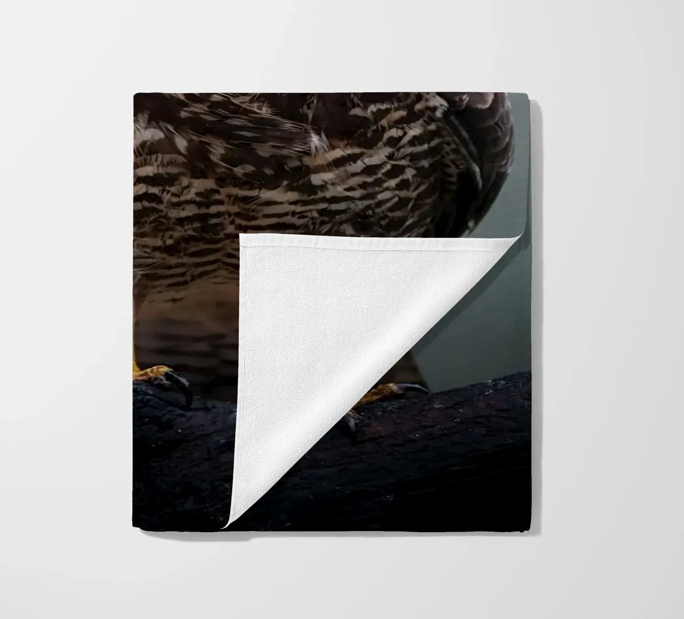 Buizerd strandhanddoek van Tom's Wildlife