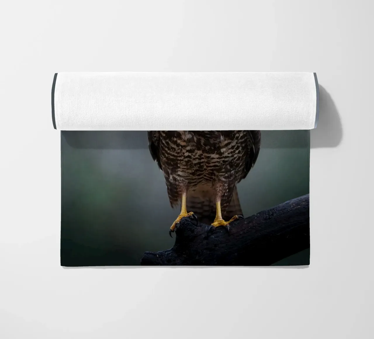 Buzzard beach towel by Tom's Wildlife