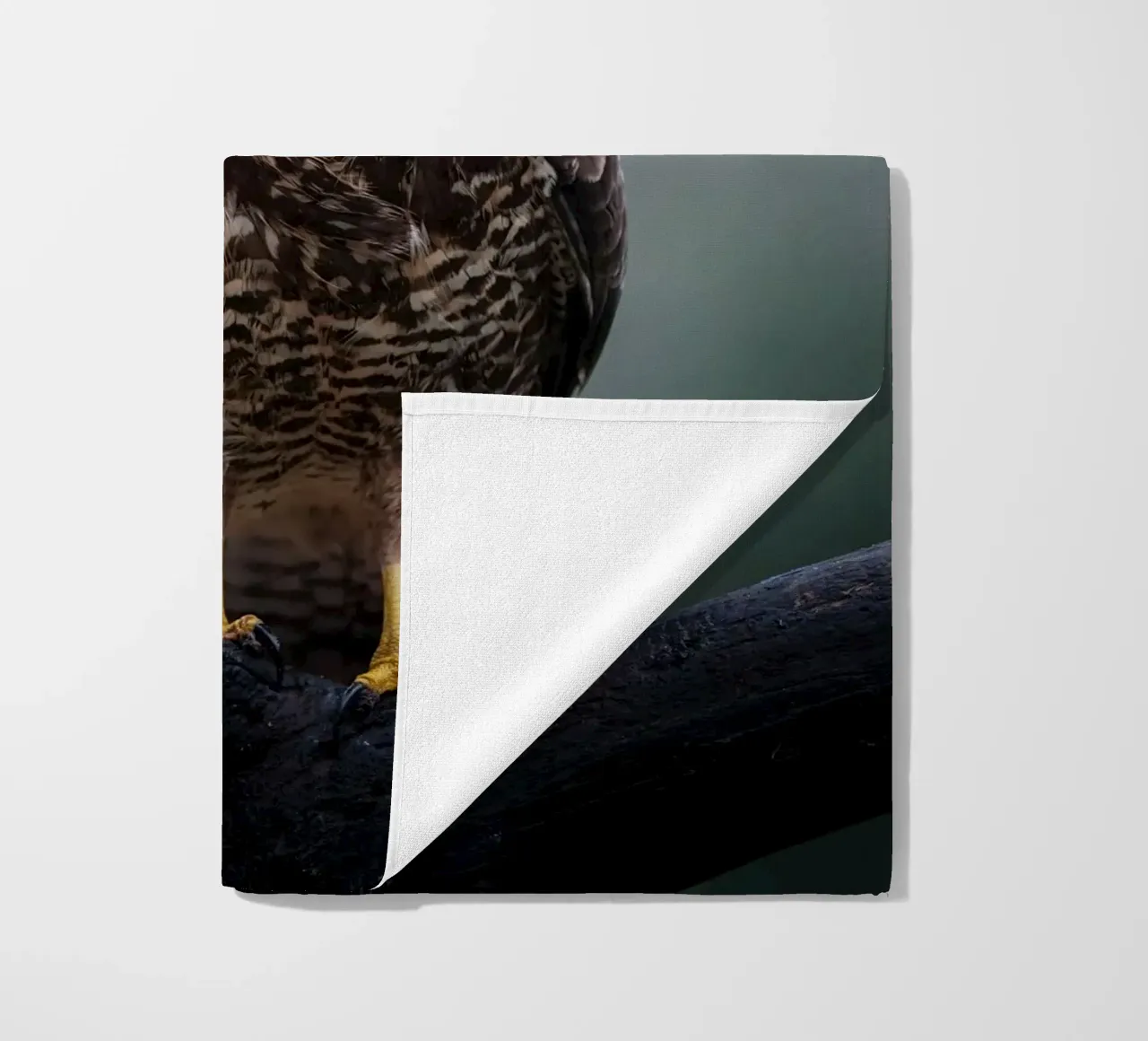 Buzzard beach towel by Tom's Wildlife