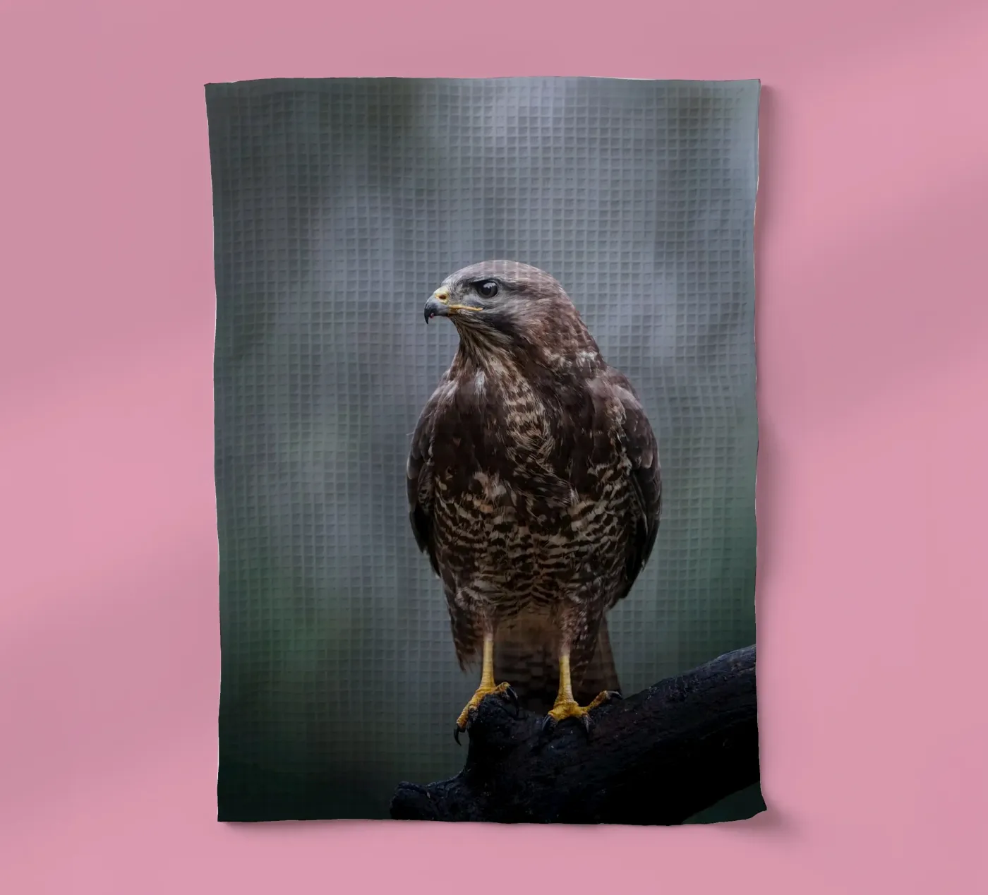 Buzzard theedoek van Tom's Wildlife