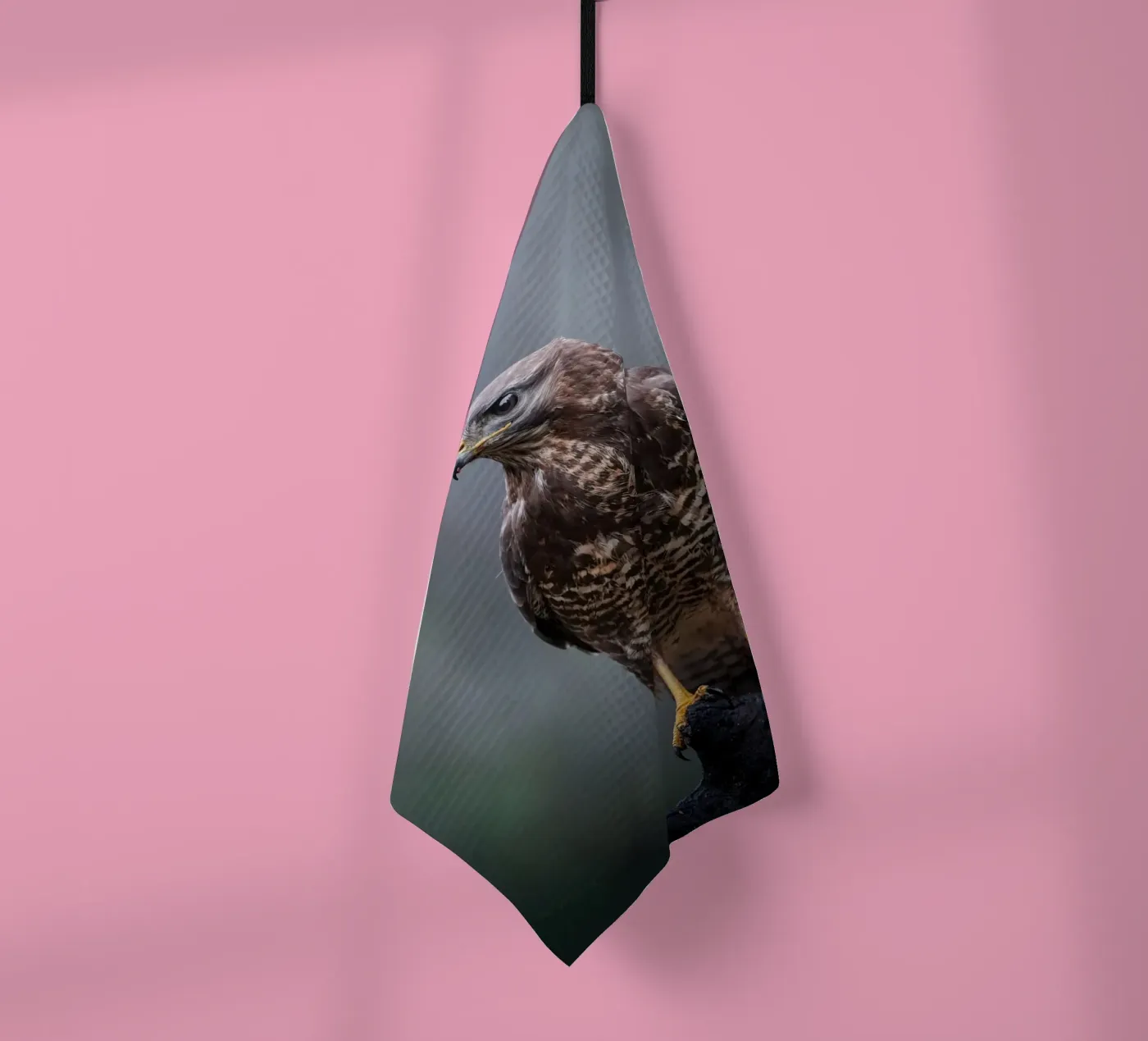 Buzzard torchon de Tom's Wildlife