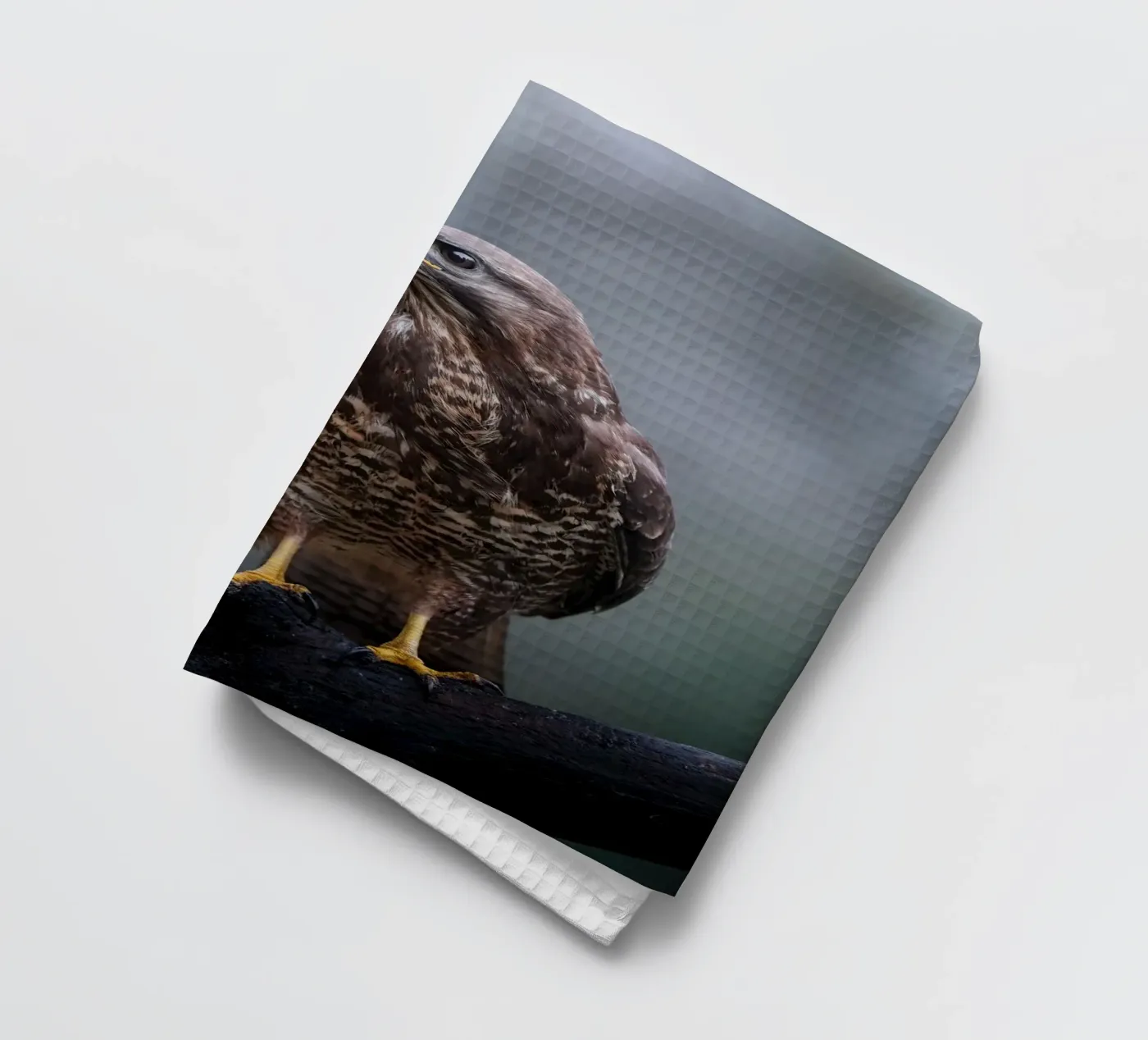 Buzzard theedoek van Tom's Wildlife