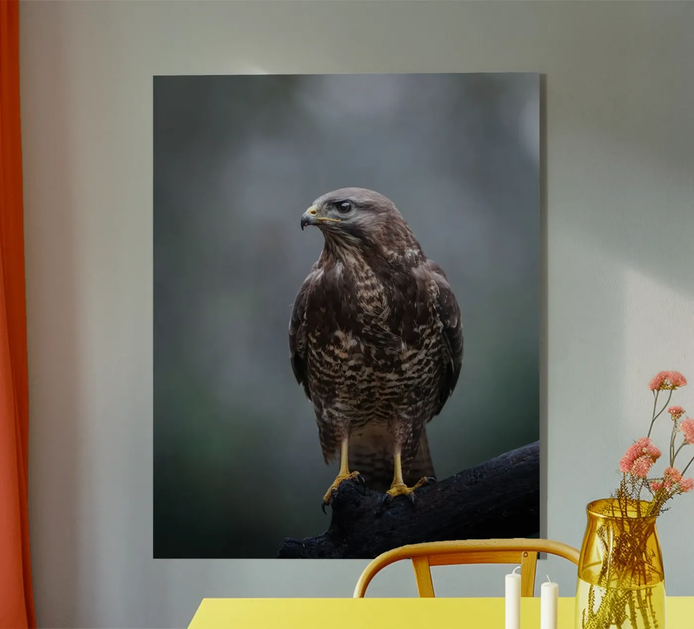 Buzzard plexiglass da Tom's Wildlife