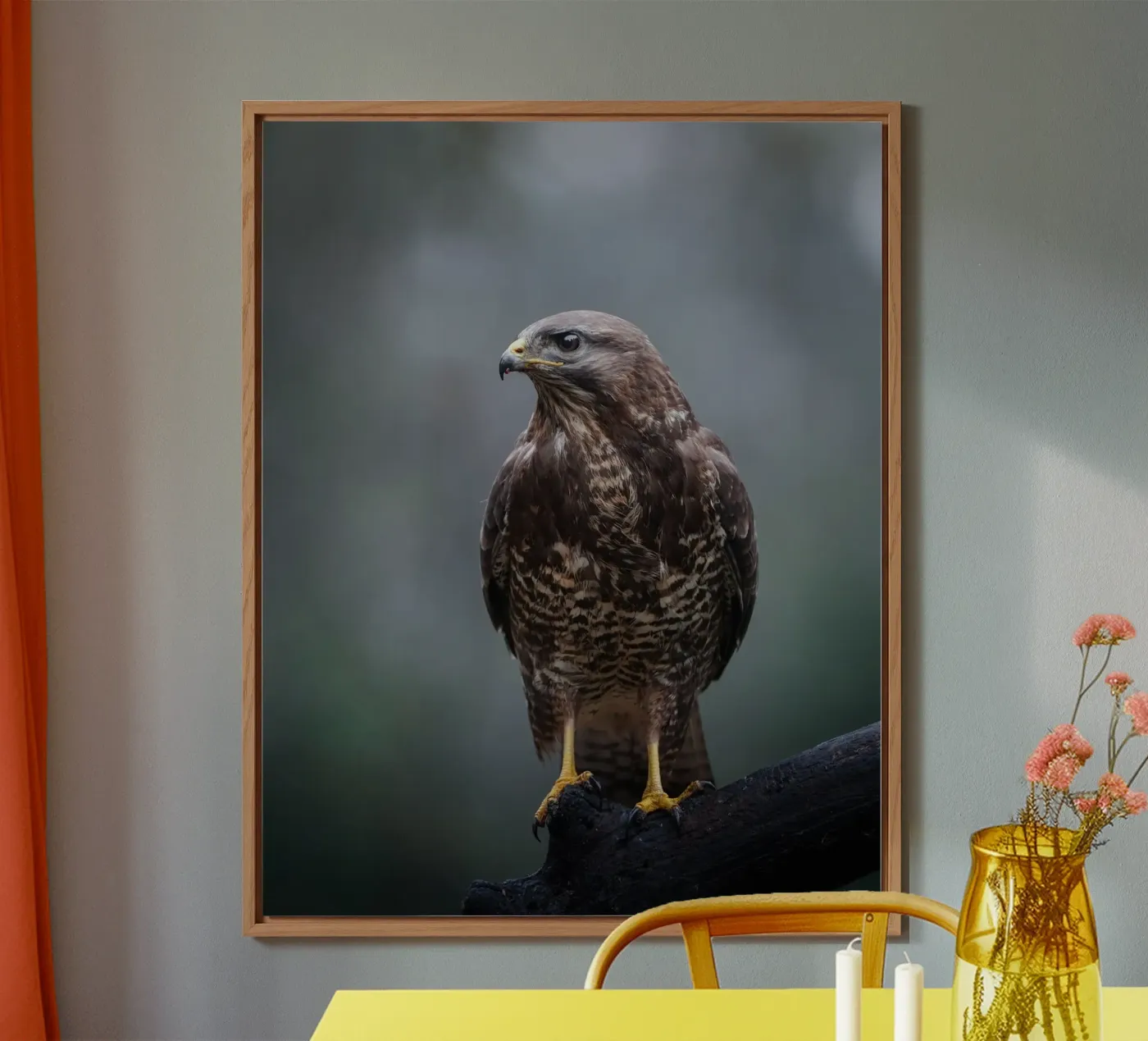 Buzzard forex plate by Tom's Wildlife