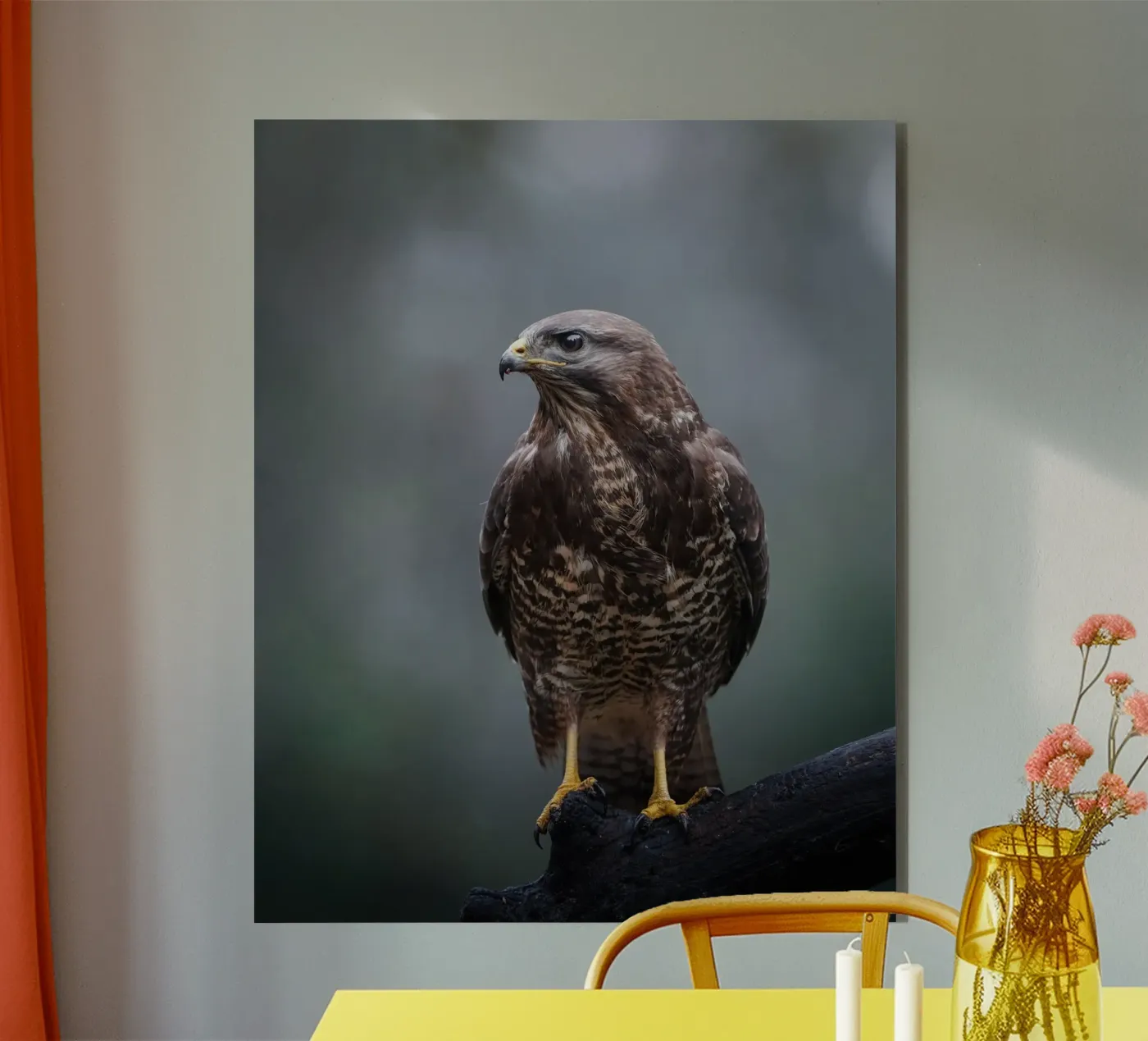 Buzzard forex plate by Tom's Wildlife