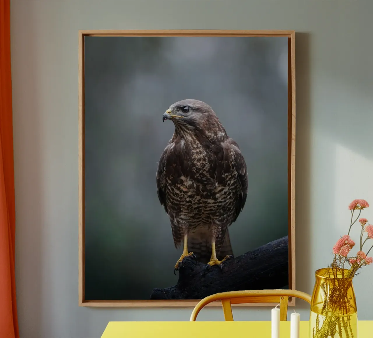 Buzzard tela da Tom's Wildlife