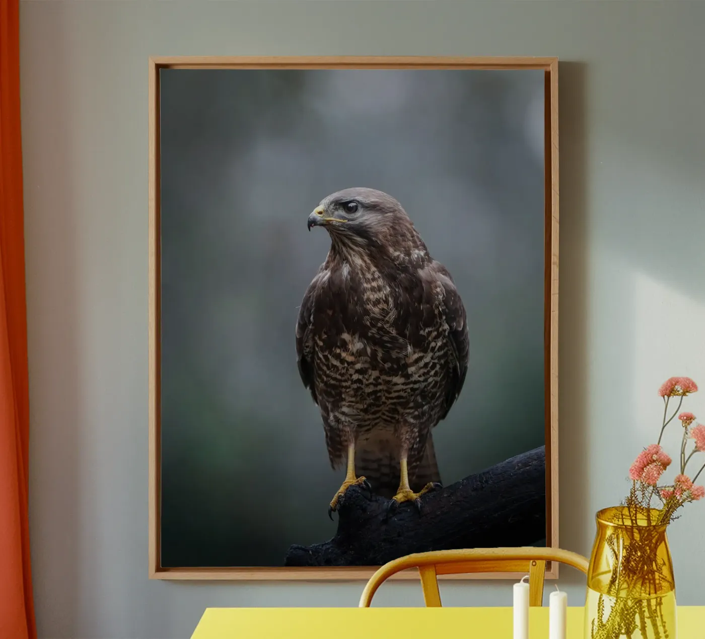 Poiana tela da Tom's Wildlife