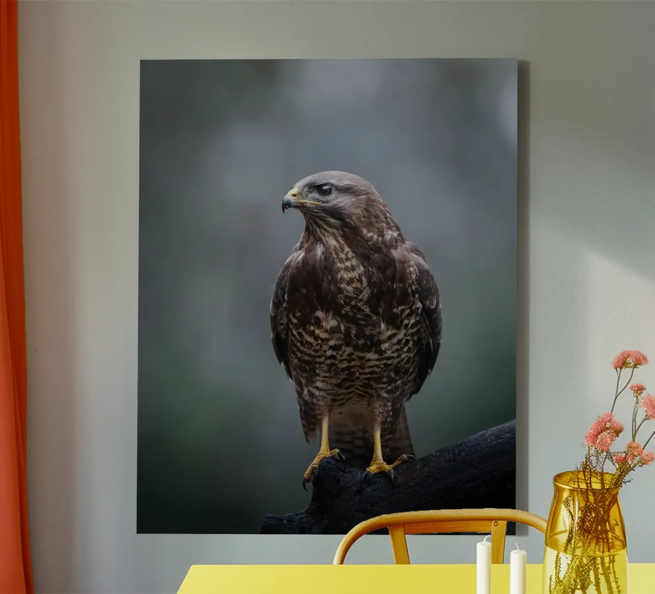 Buzzard tela da Tom's Wildlife