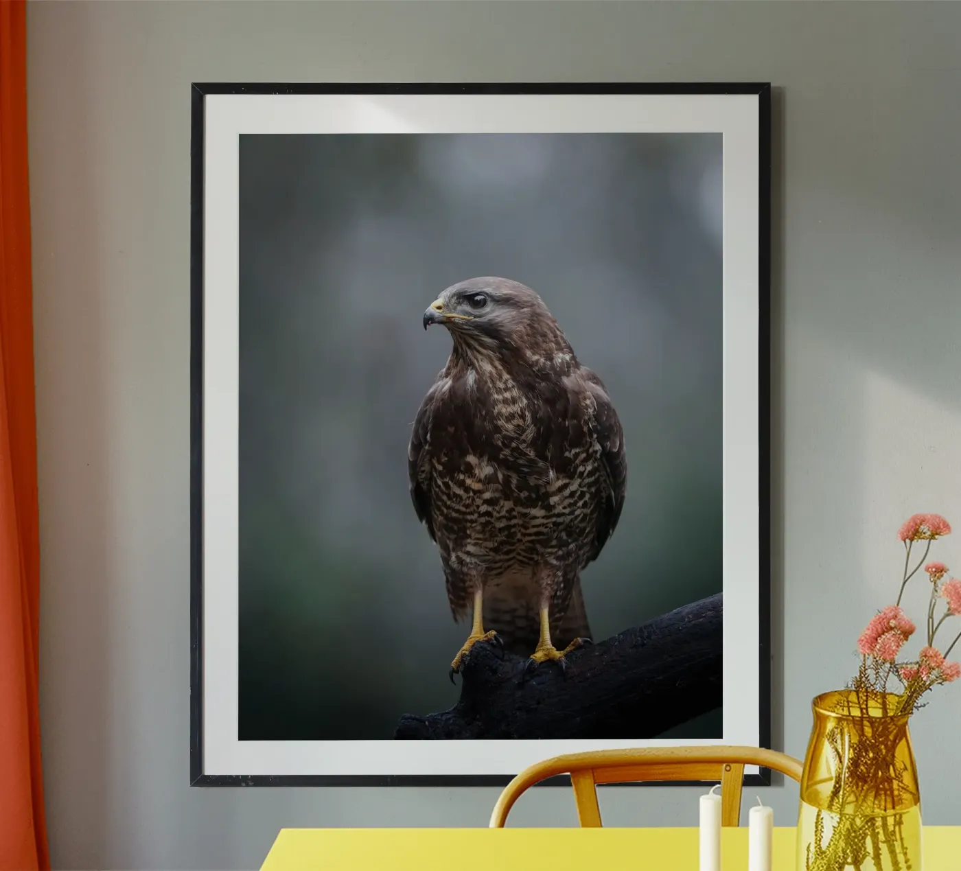 Buse poster de Tom's Wildlife