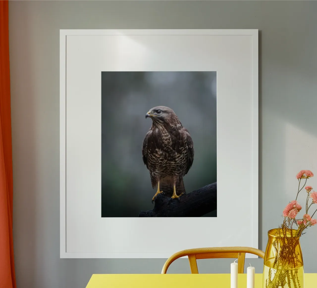 Buizerd hahnemühle van Tom's Wildlife