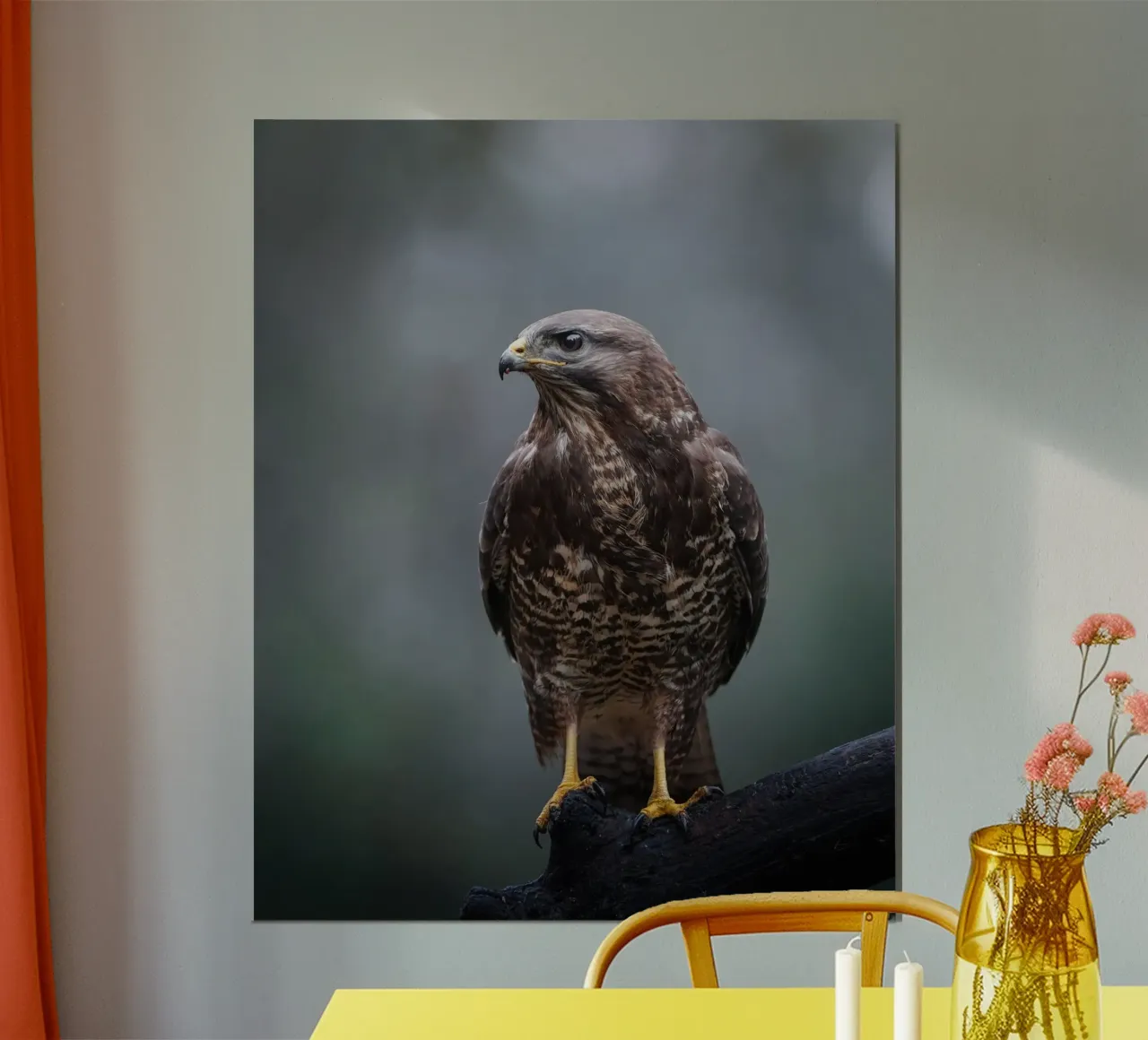 Buizerd hahnemühle van Tom's Wildlife