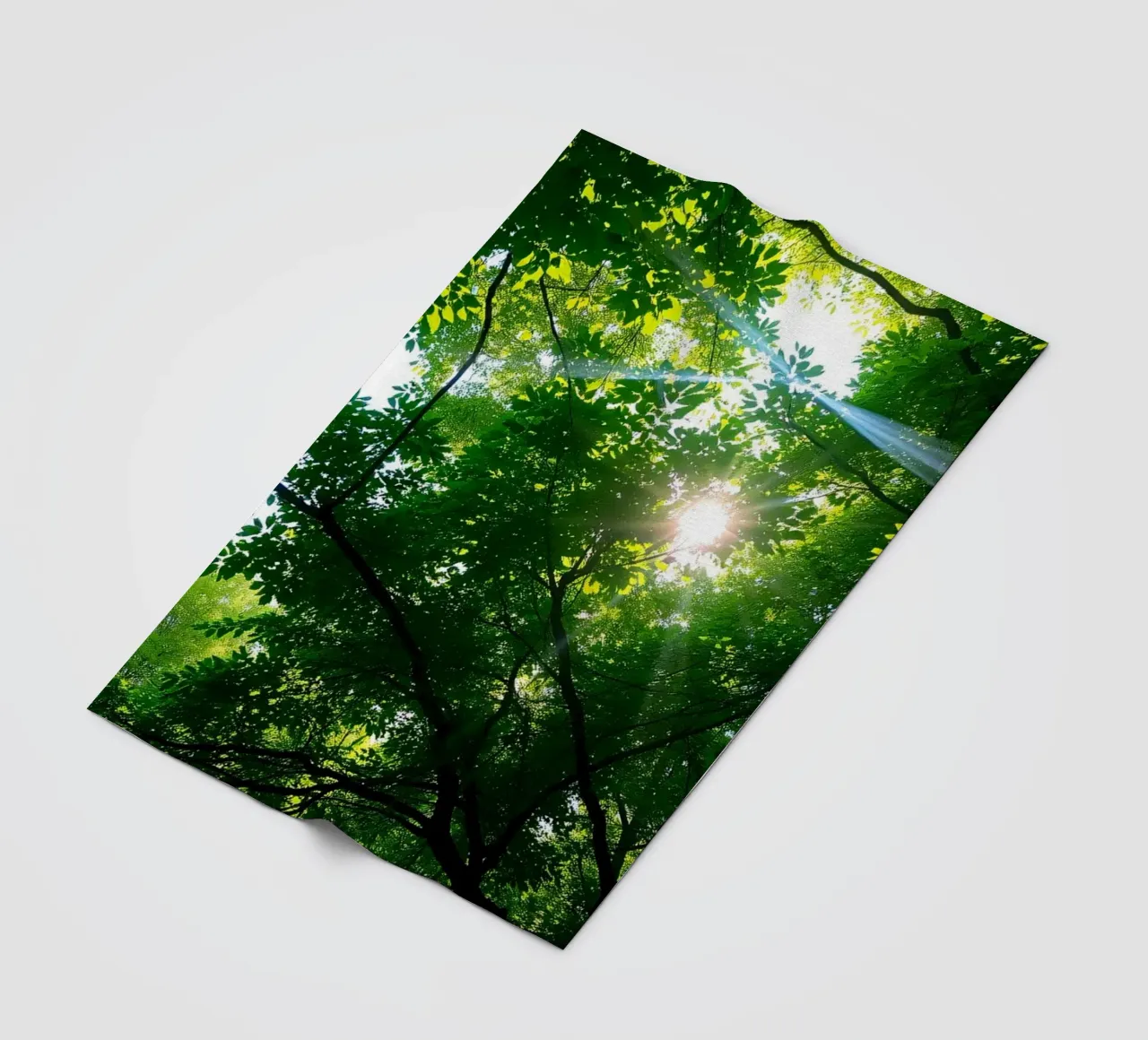Sunlight filtering through dense green trees in calm fleece blanket by DesignDoodle