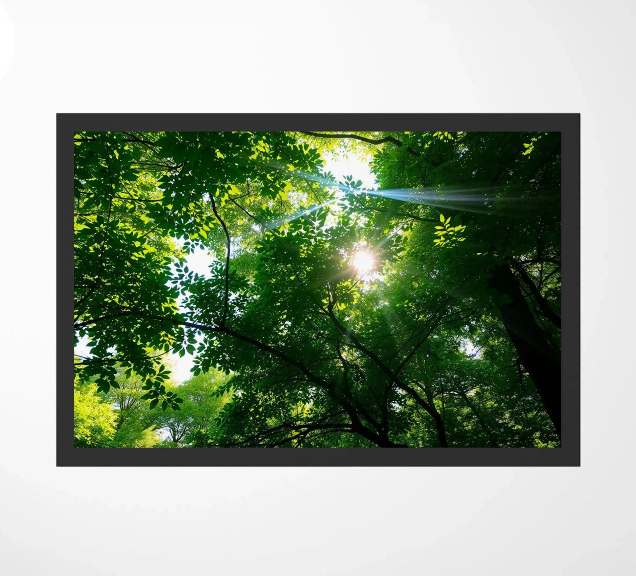 Sunlight filtering through dense green trees in calm doormat by DesignDoodle